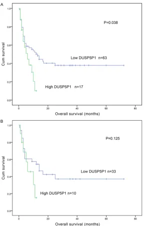 Figure 2. A. Survival analysis of DUSP5P1 expression levels with overall sur-vival of AML patients; B