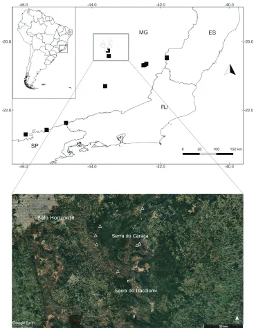 Figure 3. Map showing the distribution of Capsicum carassense (triangle) and C. mirabile (square) in south-eastern Brazil