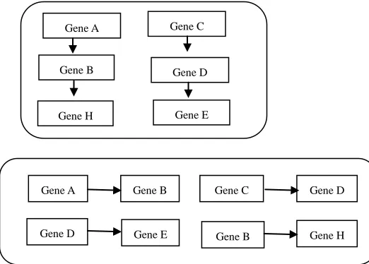 Fig 1. Methodology framework 
