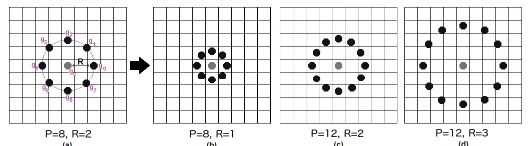 Fig. 5. Theoretical working of LBPH. LBPH working is explained above in which there is an image 