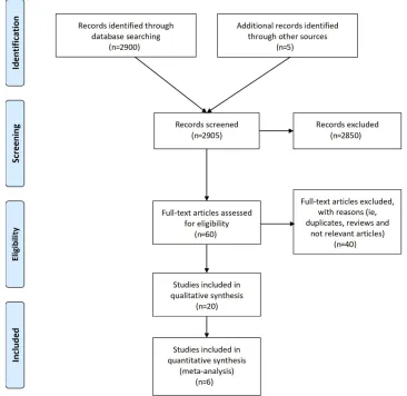Figure 1 Flowchart of the search strategy and study selection.