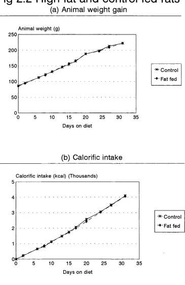 Fig 2.2 High-fat and control fed rats(a) Animal weight gain