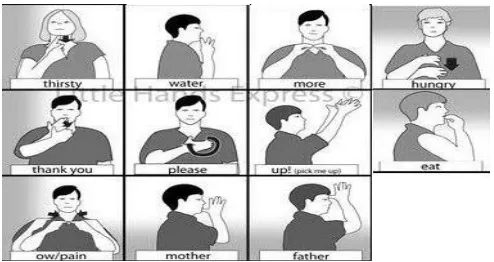 Figure 1: Some Daily use representation of words in sign language 