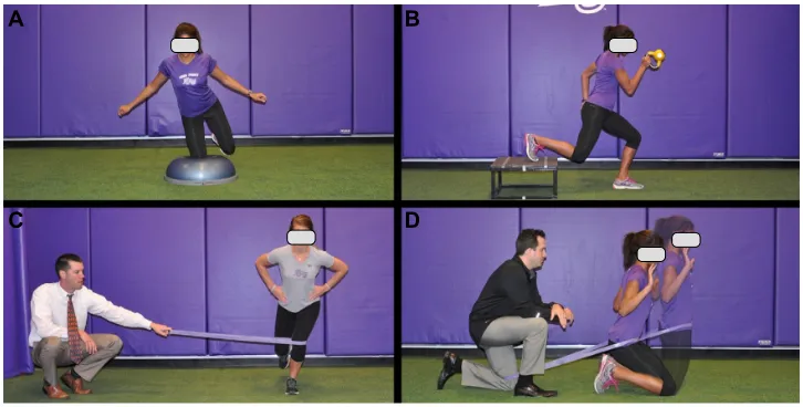Figure 5 Late stage hip-focused exercises.Notes: (A) BOSU single knee balance. (B) weighted runner