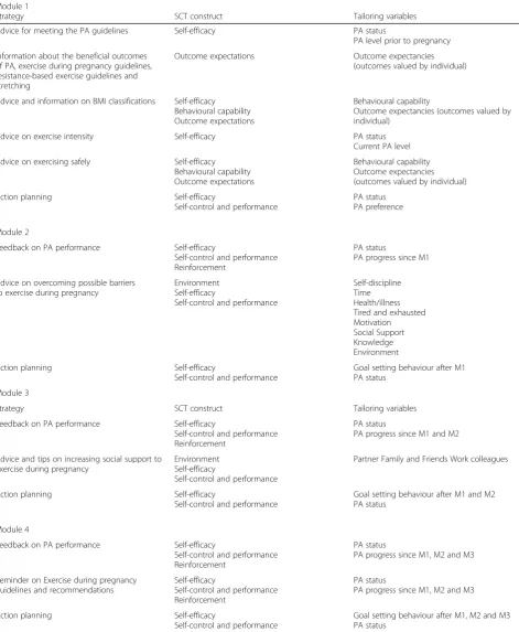Table 1 Operationalisation of the SCT Constructs relevant to this study