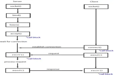 Figure 2. Communication  of client-server through sockets. 