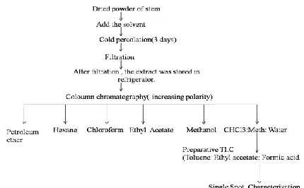 Fig.1. The method of isolation for flavan-3-ol is clearly shown in  the flowchart. 