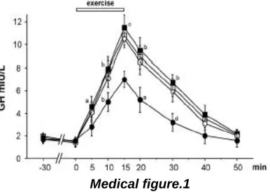 Fig. 1. GH response to exercise in younger sedentary (-    -  n.10, 27–29 years), younger runner (-    - n.10, 26–30 years); older sedentary   (-     - n.10, 42–46 years), older runner women (-    - n.10, 42–46 years)