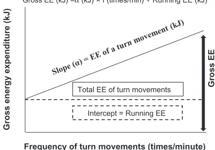 Figure 2 relationship between gross EE and turn frequency.Abbreviations: EE, energy expenditure; α, EE of a 180° turn at one running speed; f, turn frequency; running EE, the EE at constant velocity.