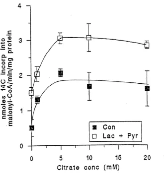 Figure 3.1. The Effect of Lactate and I^iuvate on ACC Activity