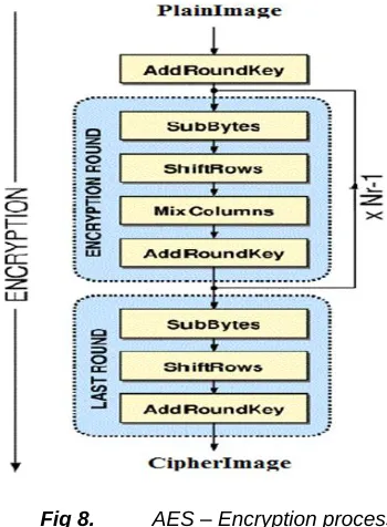 Fig 8. AES – Encryption process 