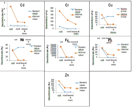 Figure 1:  Comparison of standard and obtained values of metals in soil, root and edible part of vegetables 