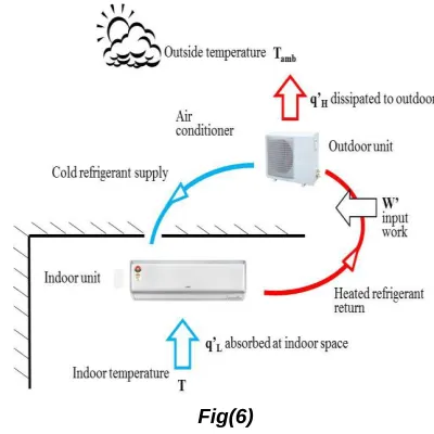 Fig (5)   