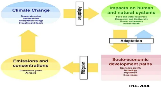 Figure 1Diagrammatic Representation of Adaptation and Mitigation to Climate Change (adapted from IPCC 2014) 