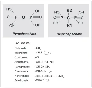 Figure 2 Chemical structure of pyrophosphate and geminal structure of bisphosphonates with functional R1 (bone hook) and R2 (the bioactive moiety) domains