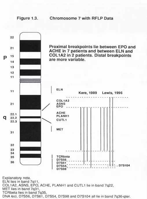 Figure 1.3.Chromosome 7 with RFLP Data