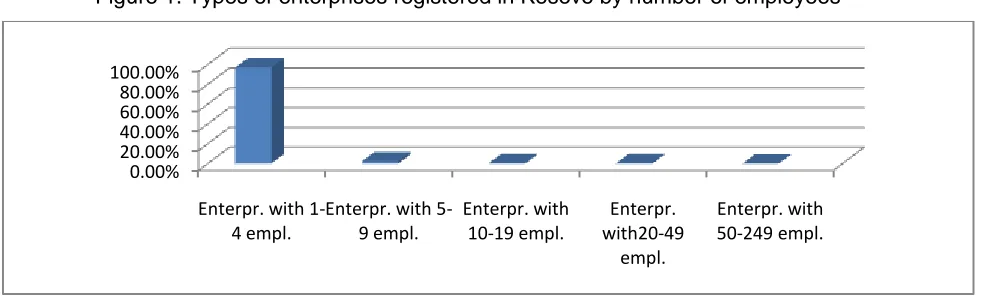 Figure 1. Types of enterprises registered in Kosovo by number of employees 
