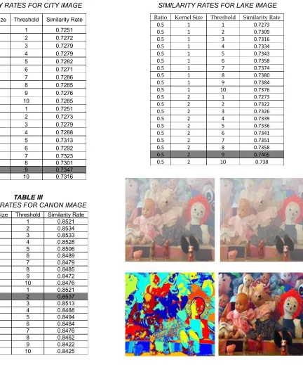 Table IV SIMILARITY RATES FOR LAKE IMAGE 