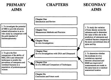 Figure 1.1 Aims of the study and layout of thesis chapters