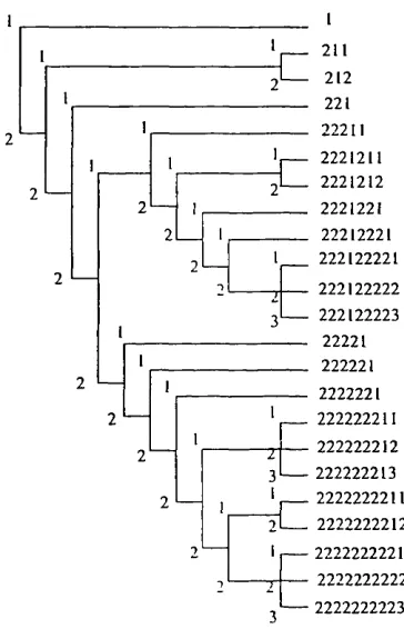 Figure 2.2. Example illustrating the formulation of codes used to enter a faunas according to the number of taxa and the number of internodestaxonomic hierarchy into WORLDMAP