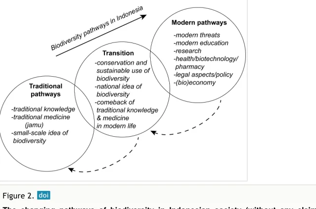 Figure 2.   