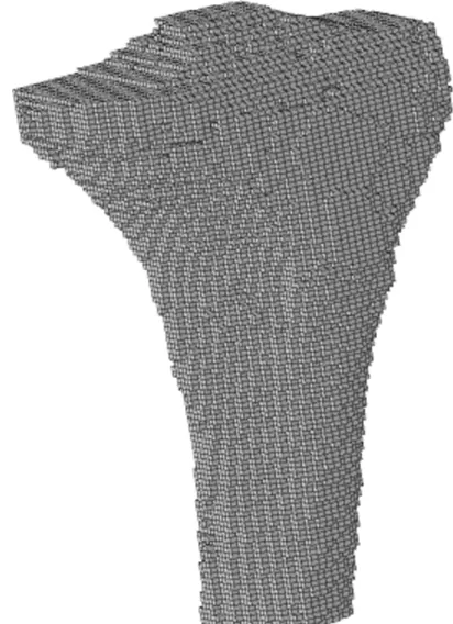Figure 1 Front view of the voxel model of the proximal tibia.