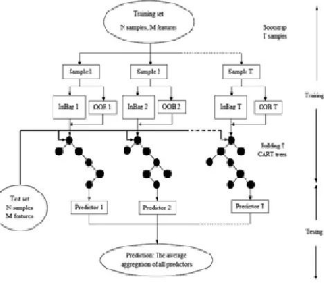 Fig.  5. Random Forest Algorithm Structure  Source: Adapted from [23] 