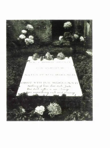 Figure 12. The grave of Percy Bysshe Shelley. This 1956 picture shews chrysanthemums and roses left at the grave which detract from the slab’s austerity