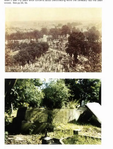 Figure 4, South Metropolitan Cemetery, West Norwood, c.1907. When this photograph was taken it was fifty years since concerns about overcrowding within the cemetery had first been voiced