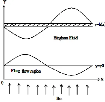 Fig. 1. The Physical model 