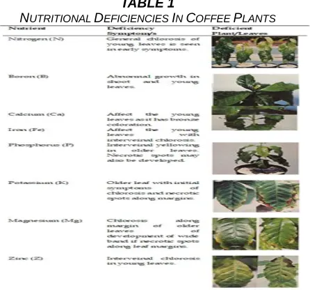 Fig.1. Image rows and columns 