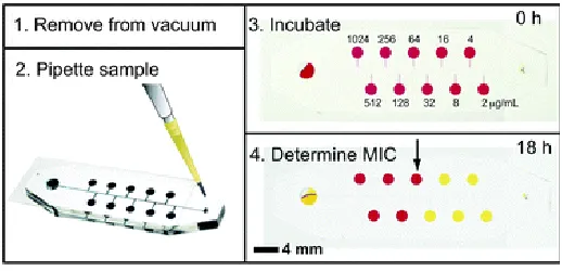 Table 4 : Summary of Microfluidics method based AST 