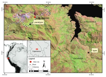 Figure 1. Location map of the type and paratype collection localities. Background: LANDSAT 5TM satellite image (June 2007) where light brown-pink areas represent Jalca grasslands, light green areas are agricultural fields and purple represents mining areas.