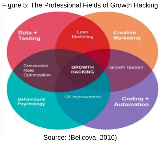 Figure 5: The Professional Fields of Growth Hacking 