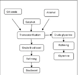 Figure 1:  Production of Biodiesel  