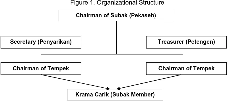 Figure 1. Organizational Structure 