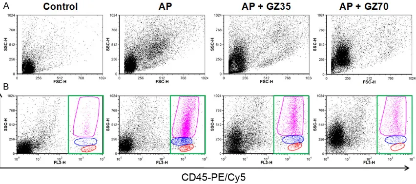 Figure 5. Flow cytometry analysis of inflammatory cells in pancreas of mice with AP. A: Representative forward and side scatter plot for isolated cell in the AP group