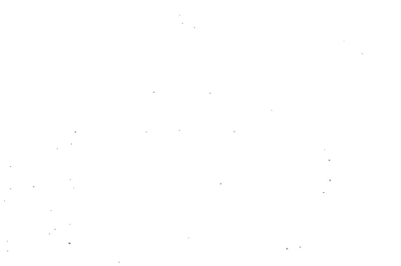 Fig. 1.7. The proposed molecular models for connexin topology