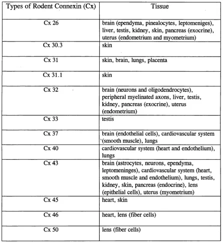 Table 1.1. List of known rodent connexins and their tissue expression 