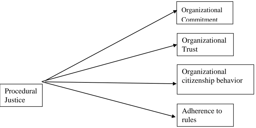 Figure 1. The casual relationships between procedural justice and work outcomes 