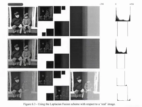 Figure 6.3 - Using the Laplacian Fusion scheme with respect to a ‘real’ image.