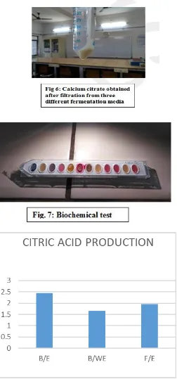 Fig 9: Comparative   study   of production of    citric acid from bacterial media without extraction, bacterial media with extraction and fungal media with extraction
