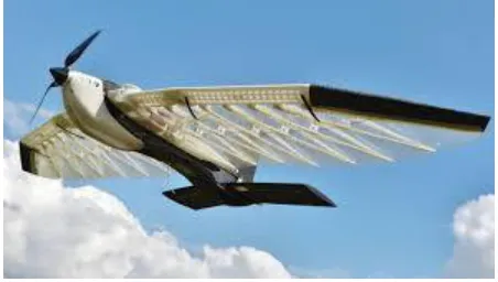 Fig. 1. Examples of Flapping Wings (Birds Strokes) 