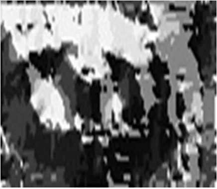 Figure 3: A screen shot of extracted eye patches from the video  