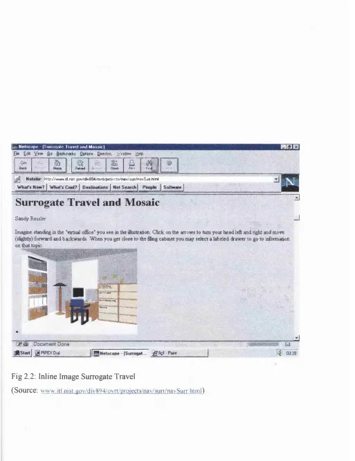 Fig 2.2; Inline Image Surrogate Travel