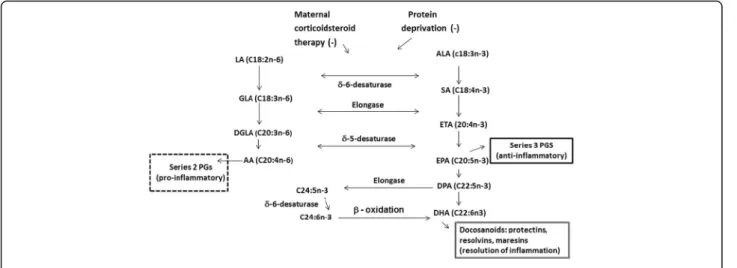 Fig. 2 Biochemical pathways for DHA synthesis