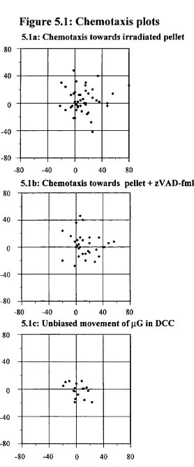 Figure 5.1: Chemotaxis plots