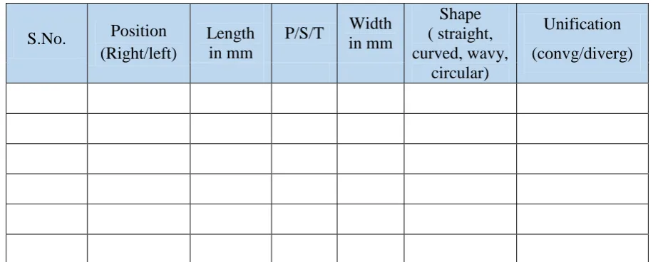 Figure 5: Pictorial Representation of the Simplified Chart prepared for the Analysis of the Rugae Patterns (P: 