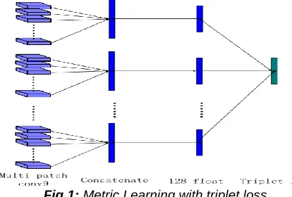 Fig 1: Metric Learning with triplet loss 