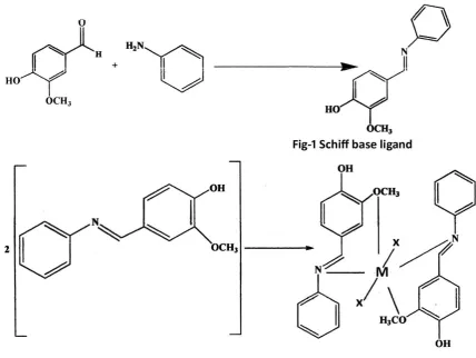 Fig. 2: Proposed structure of M(II) complexes M=Co, Ni & Cu 